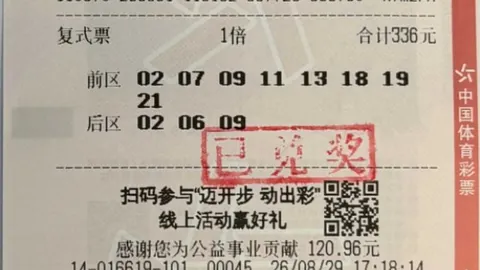 恩佐加盟确认马雷斯卡盛赞曼城，阵容升级，备战2026赛季